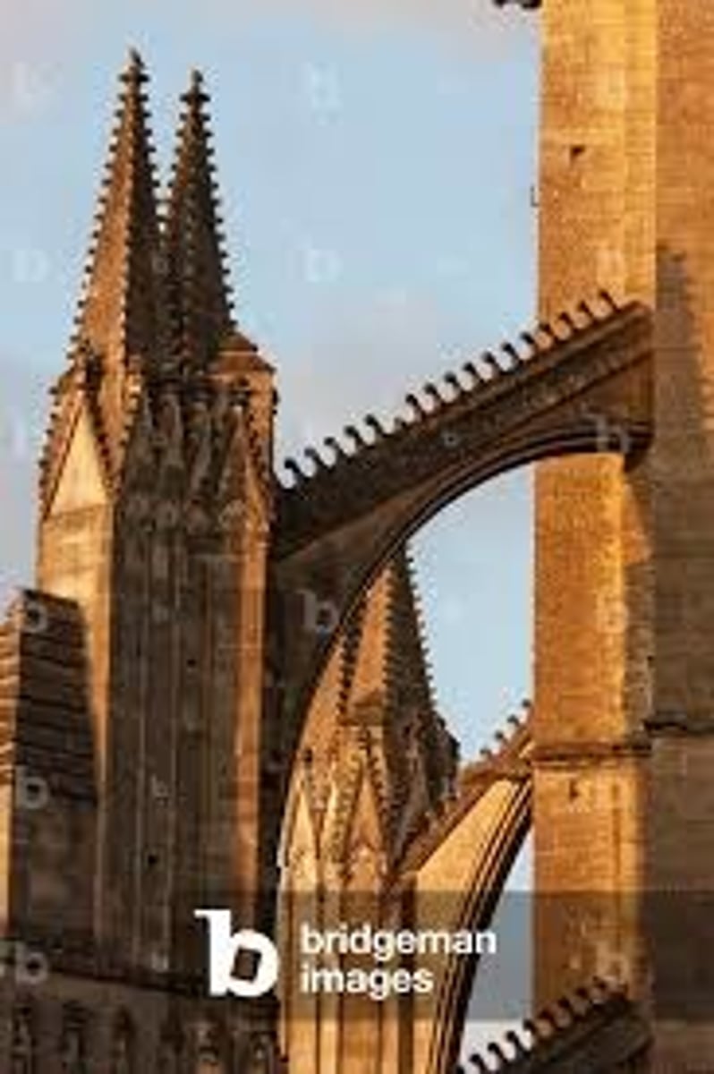 <p>? (flying buttresses)</p>