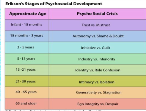 <p>– 8 psychosocial stages across the lifespan</p><p>– Each stage contains a stage-specific conflict</p><p>– Differences in personality can be explained by the way a conflict was or was not resolved</p>
