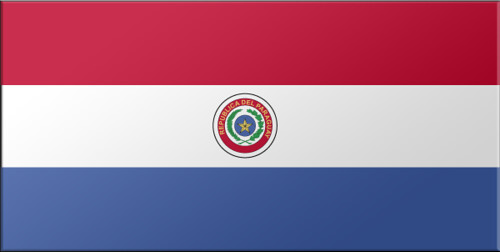 <p>Paraguayan</p>