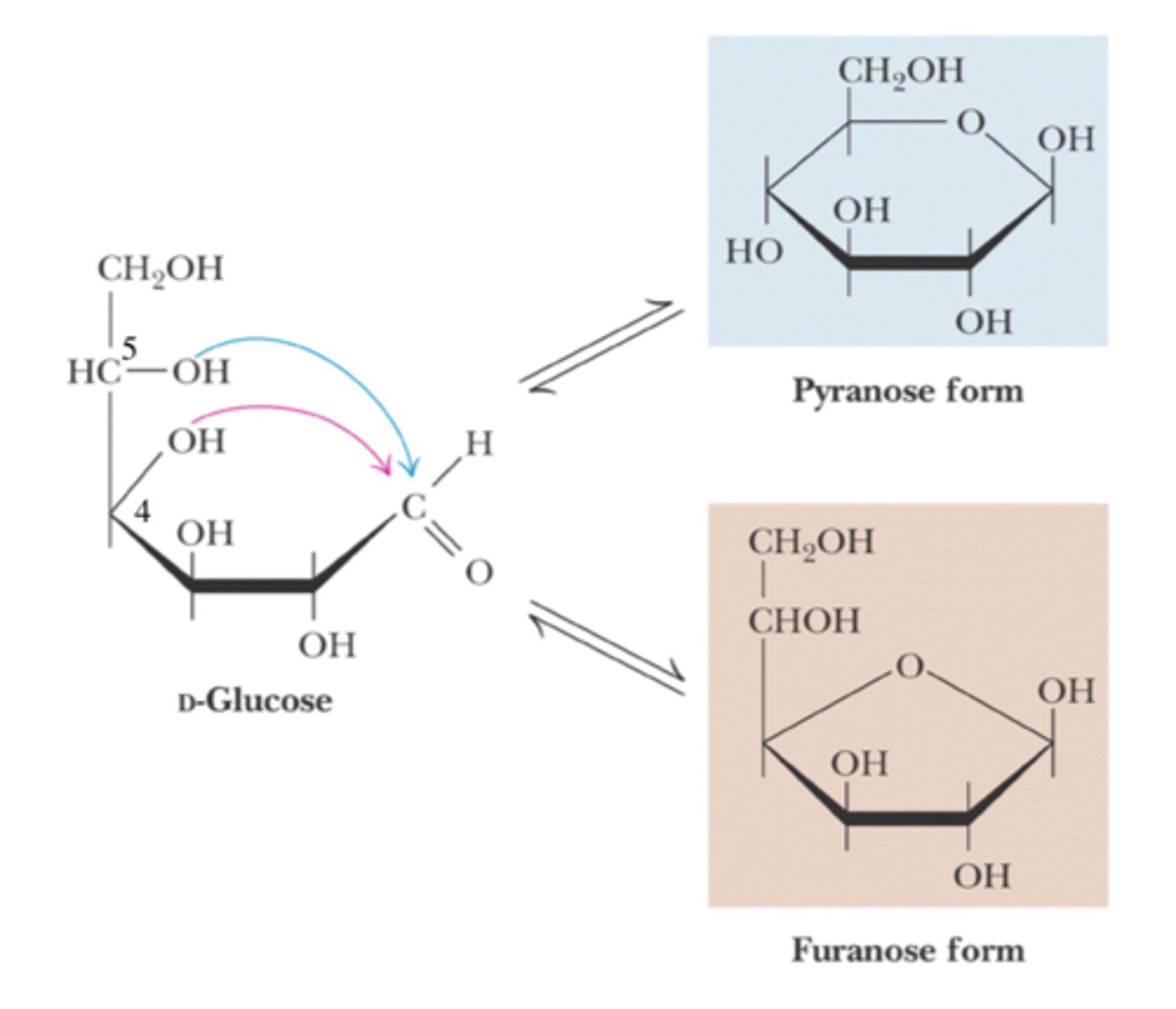 <p>- six membered ring sugar</p><p>- usually from hemiacetal</p>