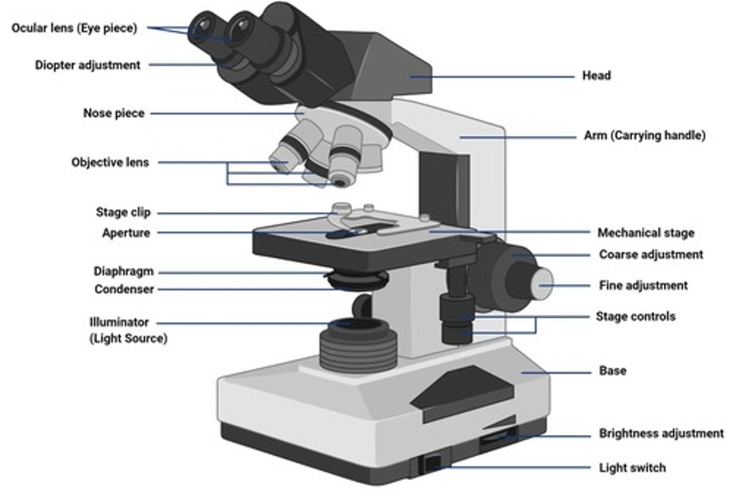 <p>The eye piece to look at specimen.</p>