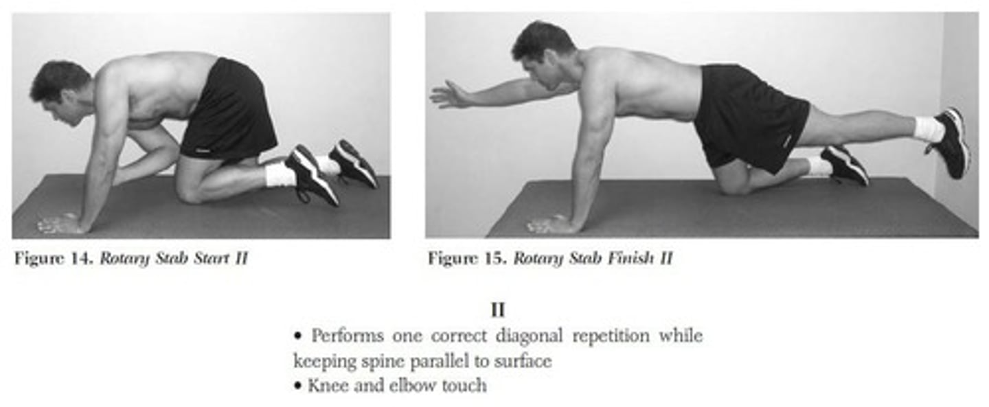 <p>It assesses the ability to maintain balance and control during rotational movements.</p>