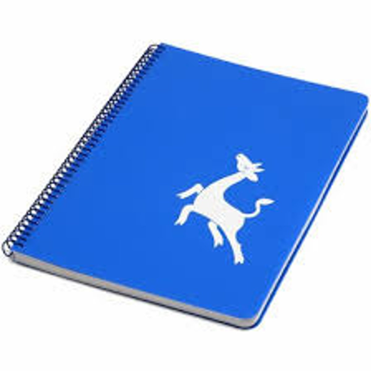 <p>notebook</p>