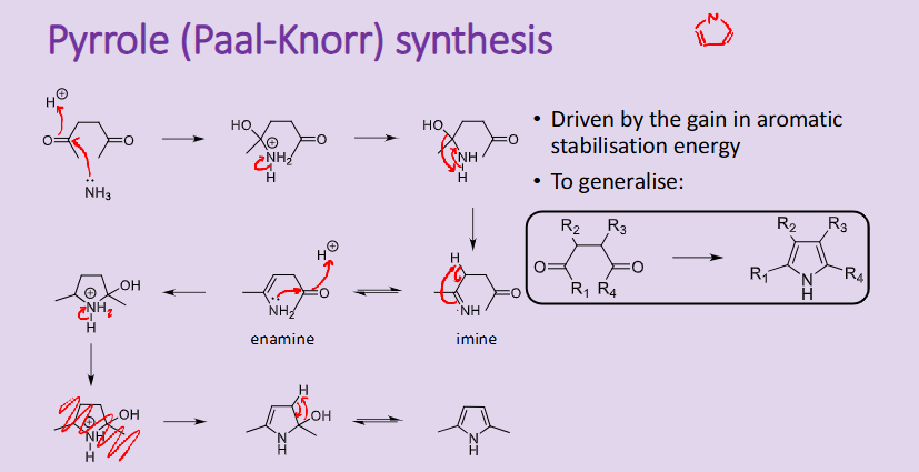 <ul><li><p>reaction driven by the aromatic stabilisation energy </p></li></ul><p></p>