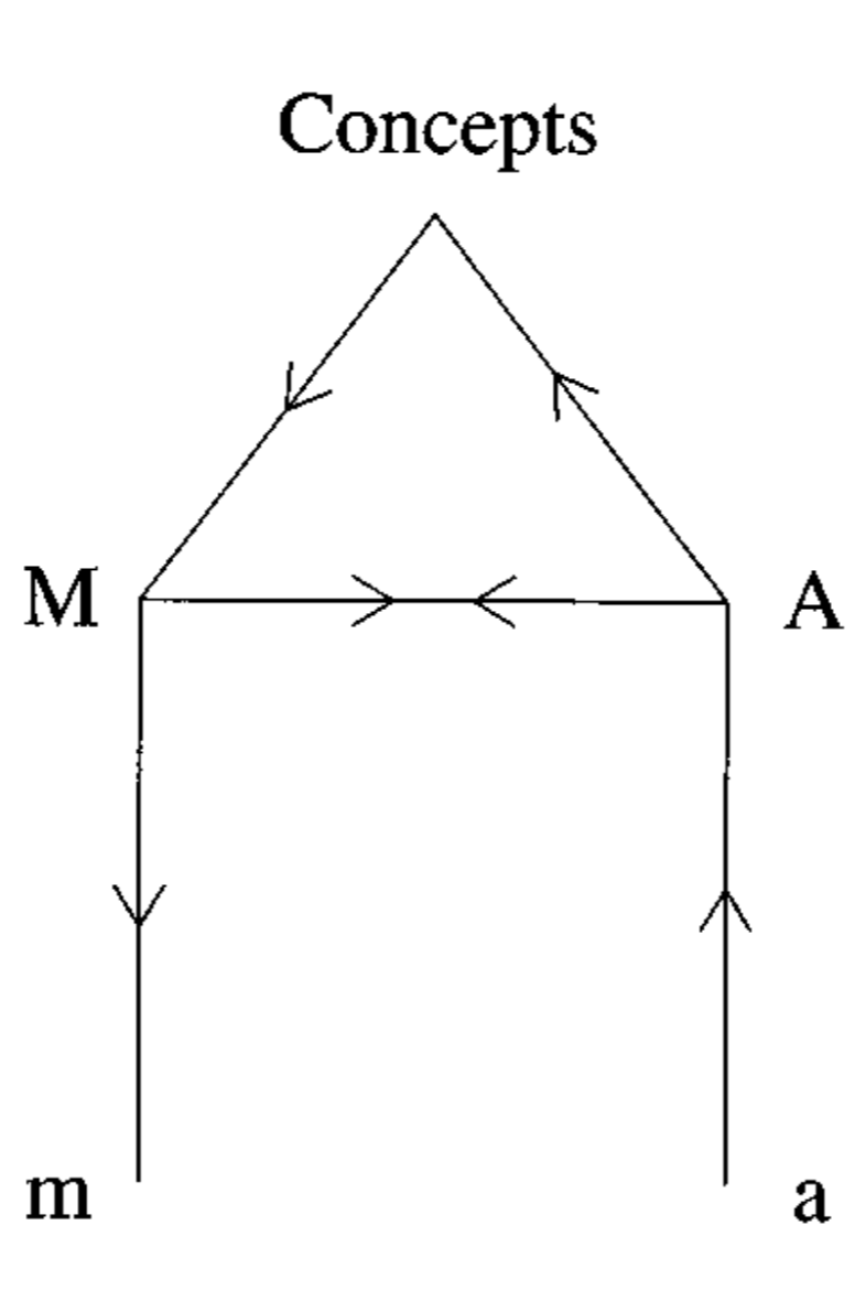 <p>An interesting loop on how concepts are related to audition, speaking, and other early cognitive concepts. Created the first model of motor-speech areas.</p>