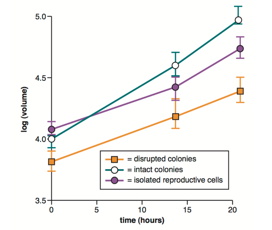 <p>What does this graph tell us about reproductive cells </p>