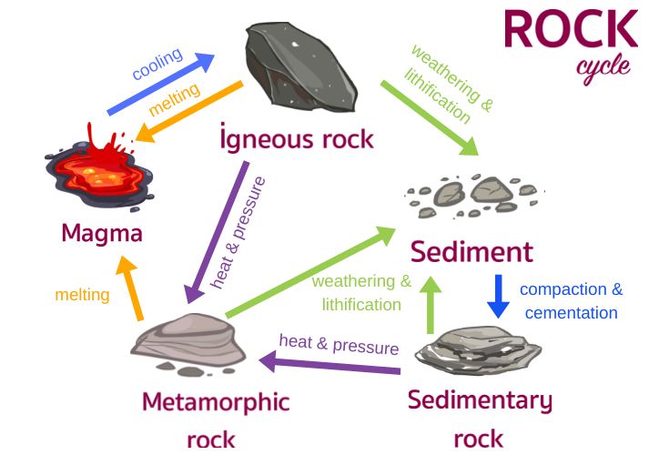 <p>rock cycle</p>