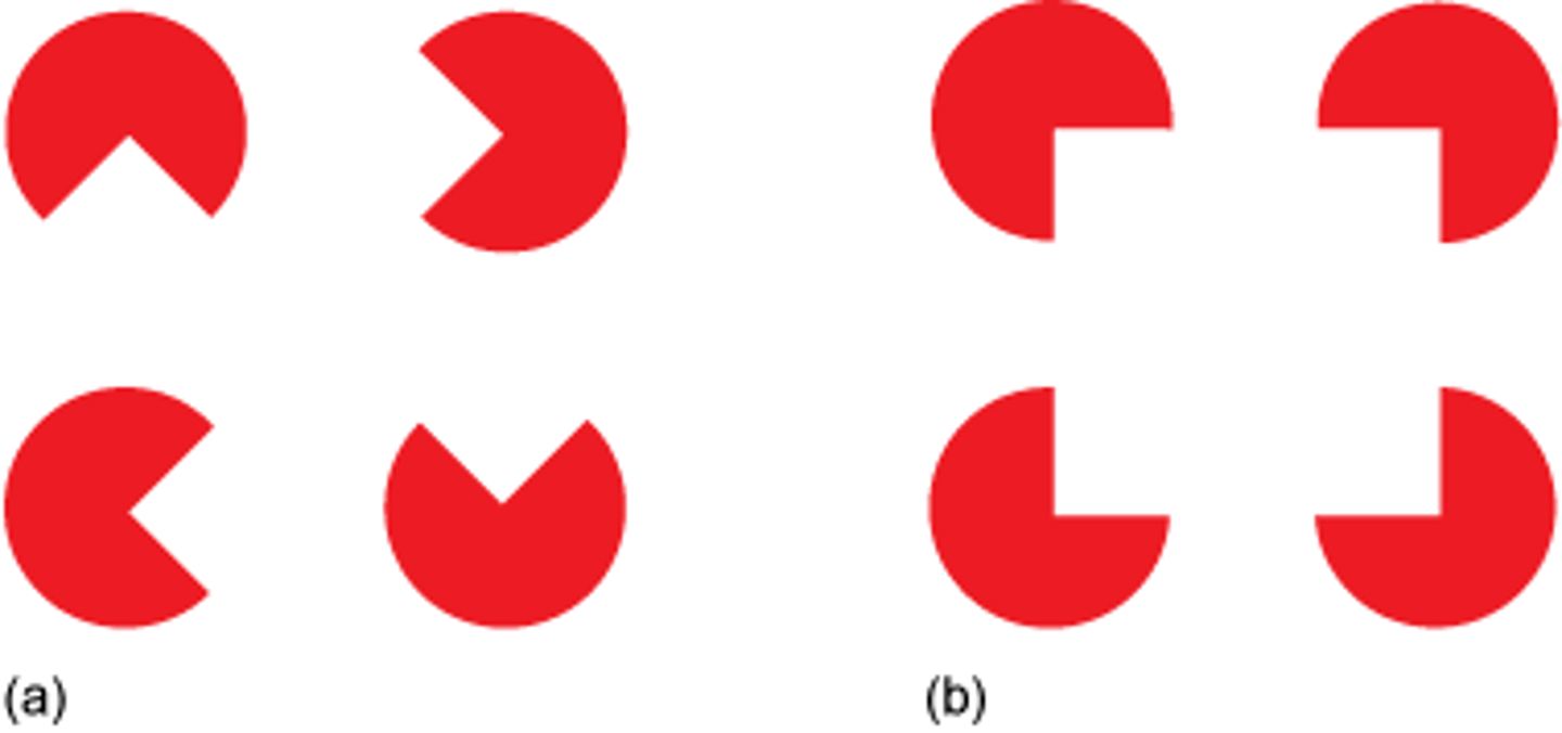 <p>- We see things not merely as there are but how how our brains interpret them</p><p>- this visual illusion causes your visual system to create a floating square that does not actually exist</p>