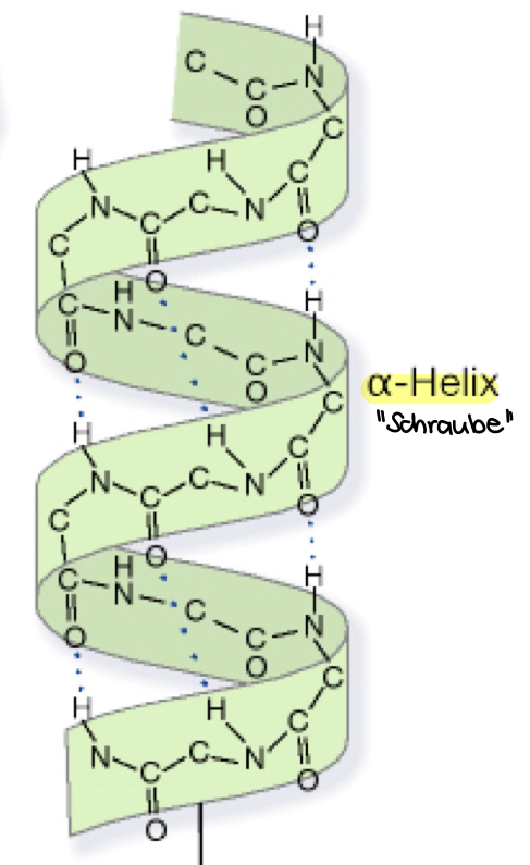 “Schraube”