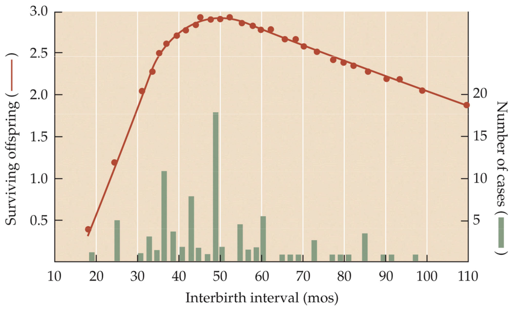 <p>Fig. 13.8: Optimal human interbirth interval</p>