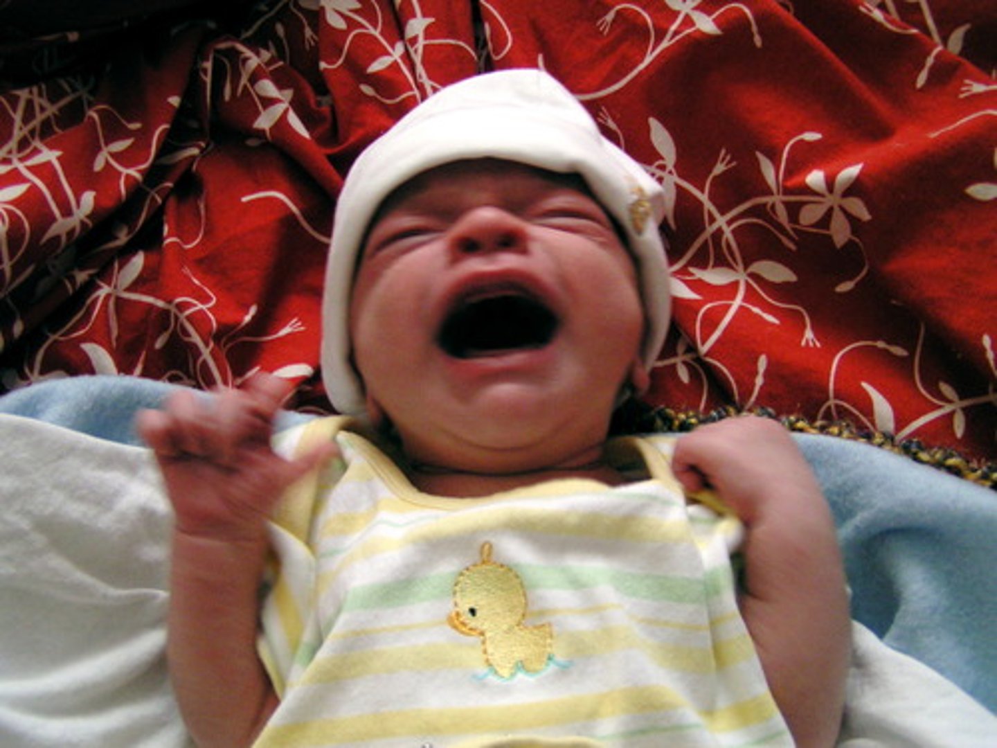 <p>to cry</p>