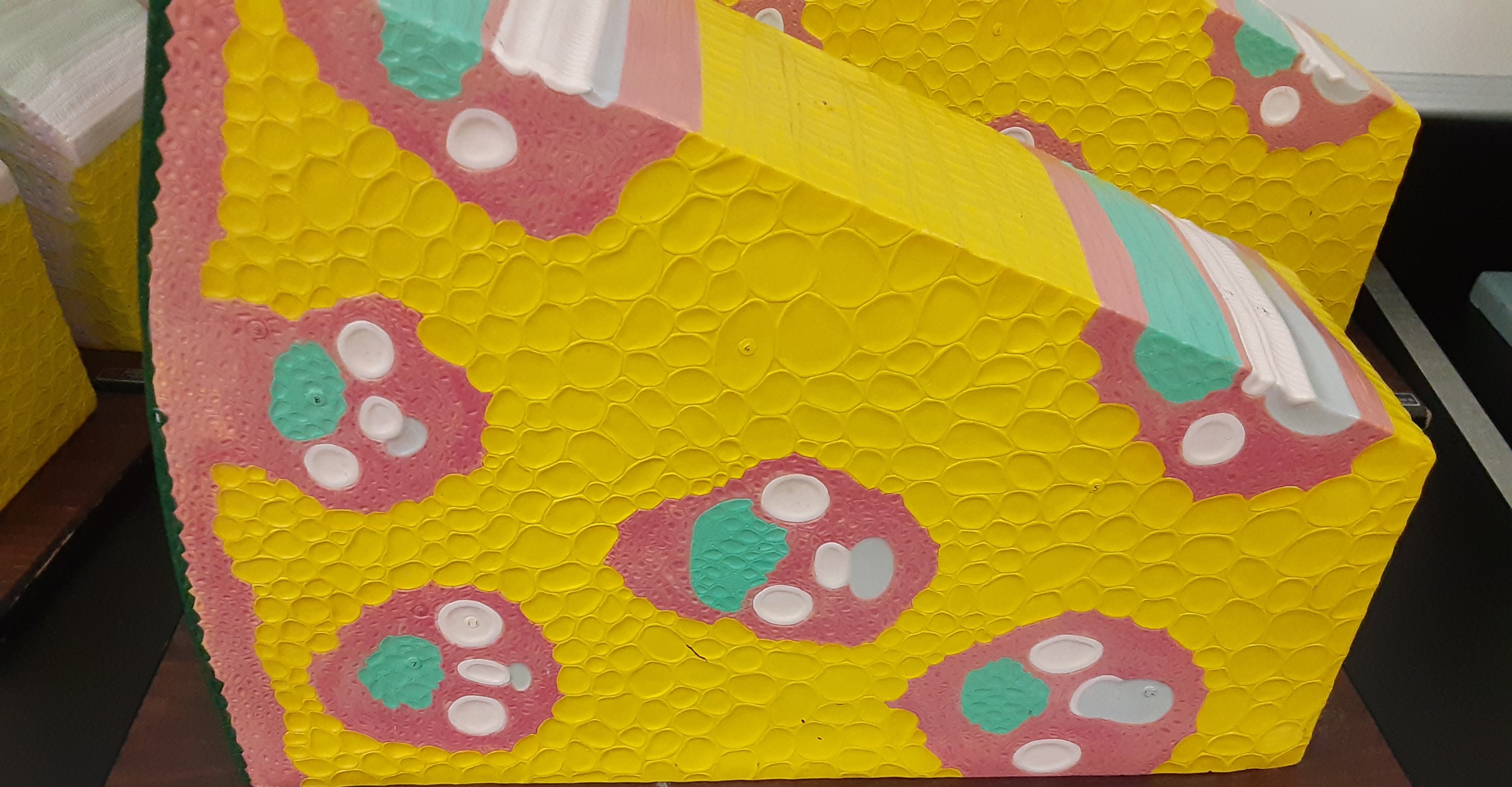 <p>Name the organ and type</p>