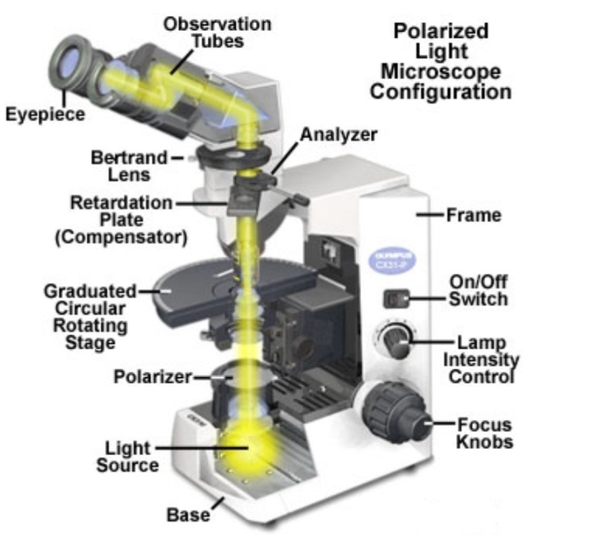 <p>Which Microscope is this? (Main one we’re using)</p>