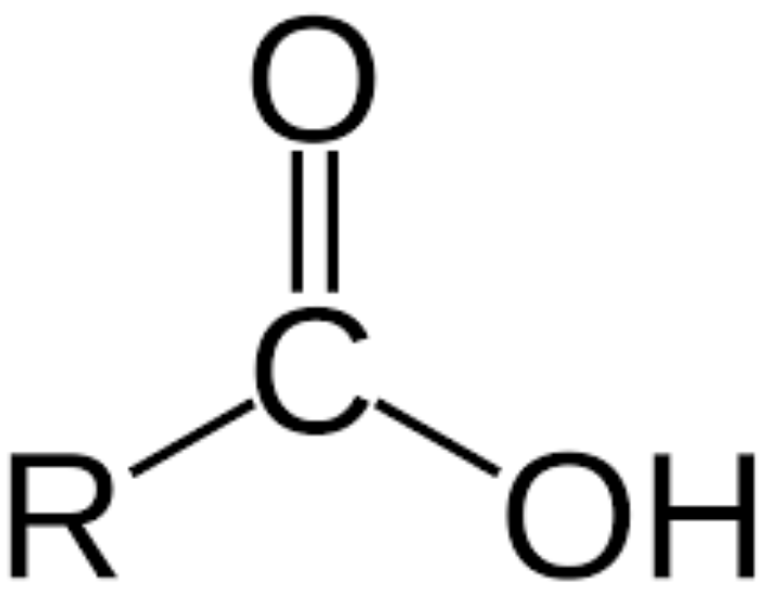 <p><span>This is a/an </span><span style="color: mediumseagreen"><strong>[... group]</strong></span></p>