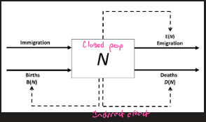 <p>P = predator, H = herbivore, B = basal (animal + plant)</p><ul><li><p>some models more wrong than others</p><ul><li><p>must seek models that are faithful to reality</p></li><li><p>implies a specific purpose</p></li><li><p>a purposeful and faithful simplification of reality</p></li><li><p>models subset of the real world, not the whole world</p></li></ul></li></ul><p></p>