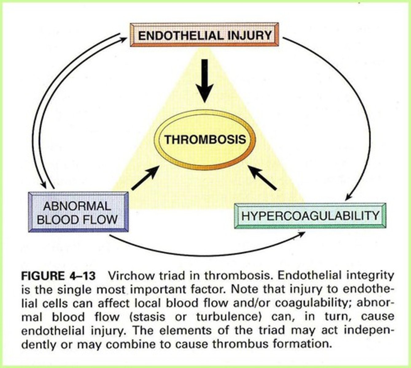 <p>Clot formation at inappropriate sites.</p>