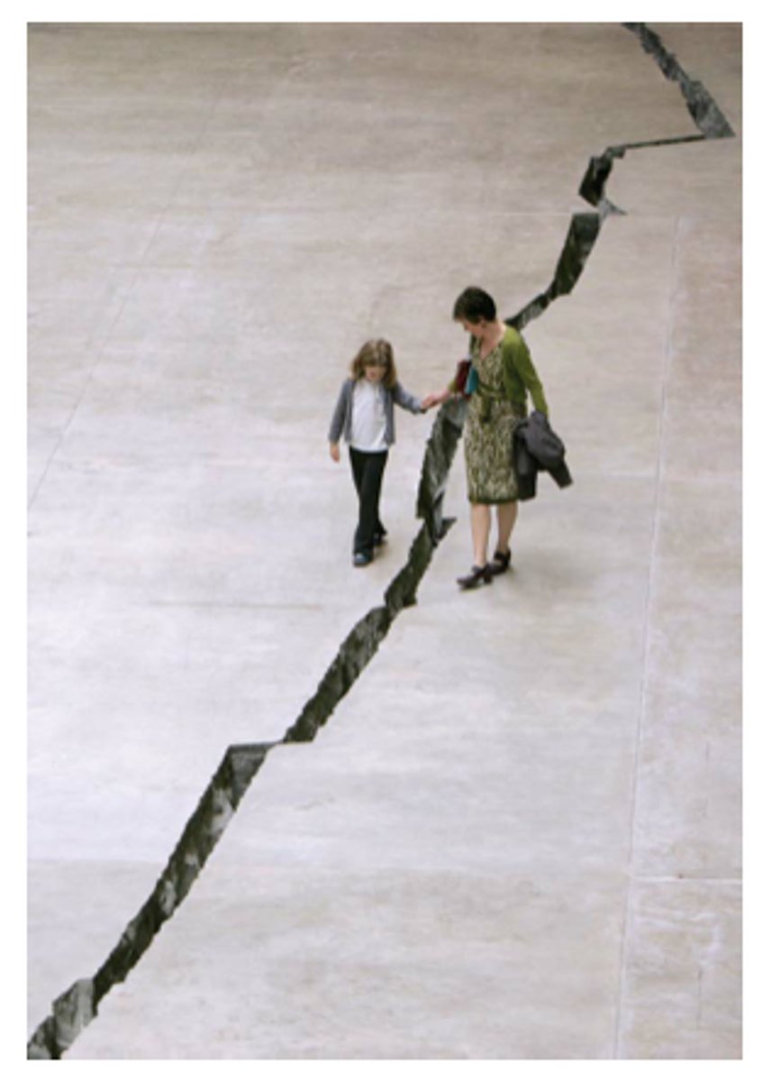 <p>Shibboleth</p>