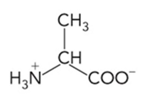 <p>What amino acid is this? 3-letter code? Characteristics? </p>