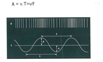 <p></p>