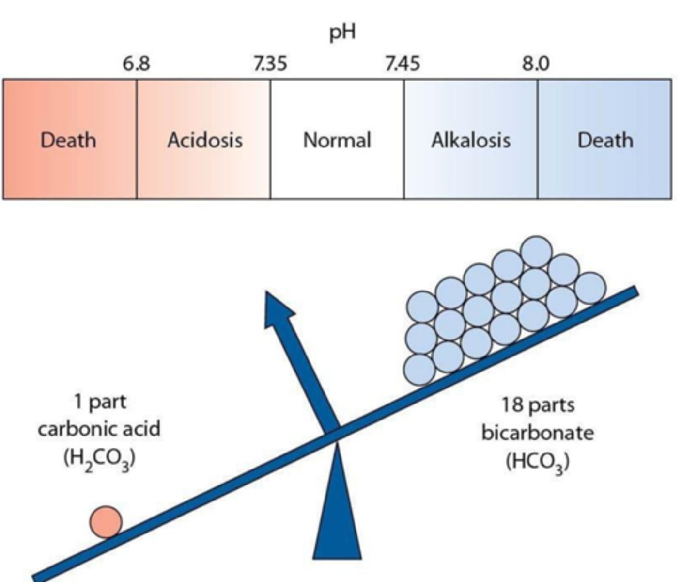 <p>A) Metabolic acidosis </p><p>B) Metabolic alkalosis </p><p>C) Respiratory acidosis </p><p>D) Respiratory alkalosis Answer: A</p>