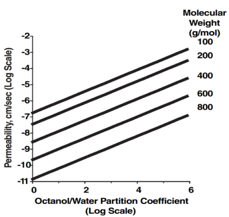 <p>The following figure represents the relationship between permeability and partition coefficient. Which of the following is true?</p><ol><li><p>Permeability increases as the molecular weight increases, regardless of the partition coefficient.</p></li><li><p>Permeability increases as the molecular weight increases while the partition coefficient is kept the same.  </p></li><li><p>Permeability decreases as the molecular weight increases while the partition coefficient is kept the same.</p></li><li><p>Permeability increases as the partition coefficient decreases and the molecular weight decreases as well.</p></li></ol><p></p>