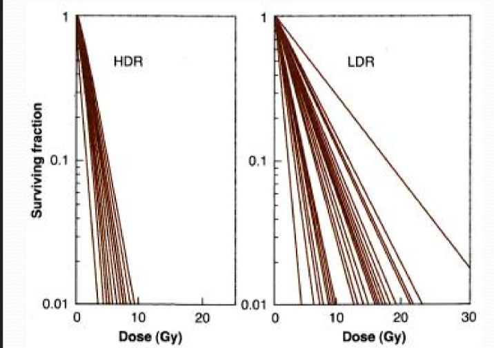<p>these are dose survival curves at high and low dose rates for 40 different cell lines of human origin. why do the curves fan out at low dose rate?</p>