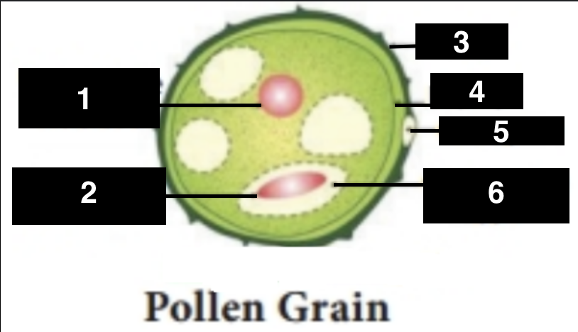 <p>4</p>