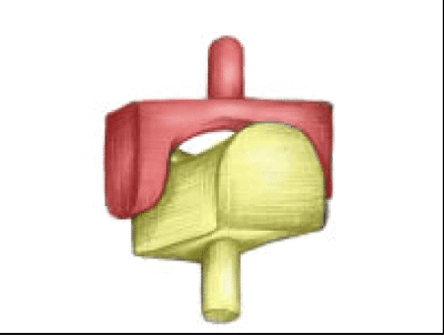 <p>type of joint found at the base of each thumb; allows grasping and rotation</p>