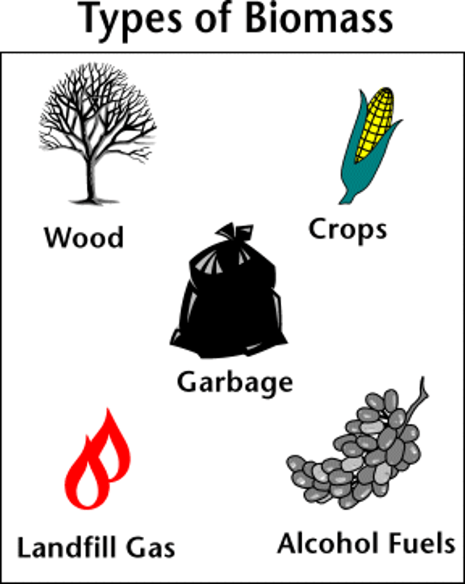<p>Organic matter such as wood, charcoal, dried plant matter, and dried animal waste that can be combusted in the presence of oxygen to release heat. Primarily used in developing nations as a subsistence fuel</p>