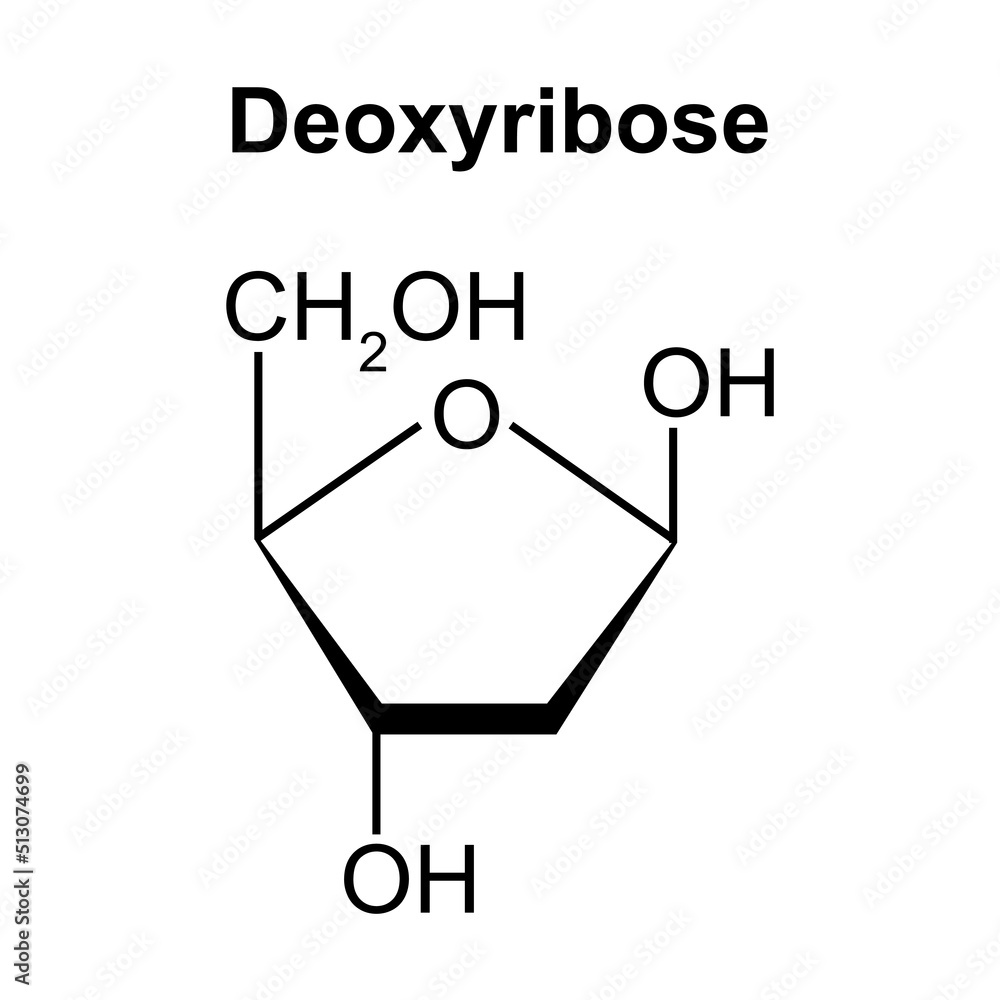 <p>deoxyribose</p>