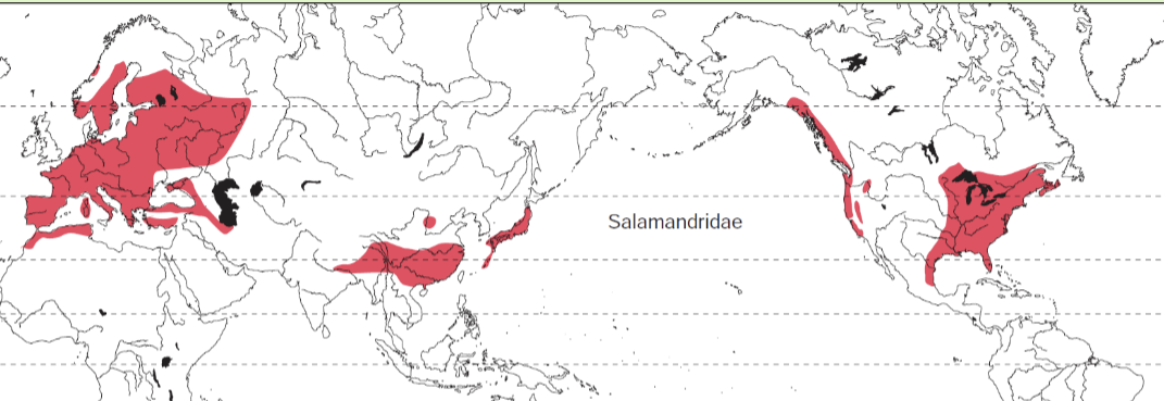 <p><span>Europe, Turkey and the Levant, southern China and northern Indochina, Japan,</span><br><span>northwestern Africa, and North America</span></p>