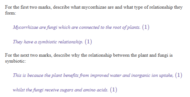 <p><span style="background-color: transparent;"><span>-Mycorrhizae are fungi on/connected to roots of plants</span></span></p><p><span style="background-color: transparent;"><span>-Mycorrhizal relationship is mutual/symbiotic</span></span></p><p><span style="background-color: transparent;"><span>-Plant ebenfits from improved water and inorganic ion uptake</span></span></p><p><span style="background-color: transparent;"><span>-Fungi receive sugars and amino acids in return</span></span></p><p></p>