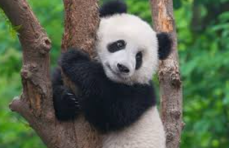 <p>What are cause groups?</p>