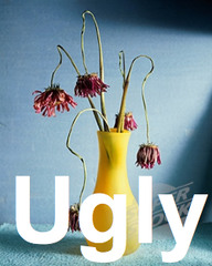 <p>ugly</p>