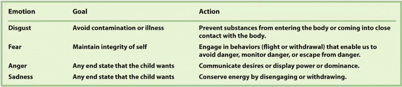 <ul><li><p><strong>Hypothesis</strong>: Emotions are adaptive tools that help us achieve our goals.</p></li><li><p><strong>Influence on Actions</strong>:</p><ol><li><p><strong>Baby's Actions</strong>: Emotions guide and influence the infant's behaviour to meet their needs.</p></li><li><p><strong>Caregiver's Actions</strong>: Emotions in the baby also influence the caregiver’s responses, fostering care and support.</p></li></ol></li><li><p><strong>Communication</strong>:</p><ul><li><p>Emotions act as <strong>signals</strong> to convey information to others, supporting social interaction.</p></li></ul></li><li><p><strong>Example: </strong><em>Fear</em></p><ul><li><p>Maintains integrity of self</p></li><li><p>Engage in behaviours (flight or withdrawal) that enable us to avoid danger, monitor danger, or escape from danger.</p></li></ul></li></ul><p></p>