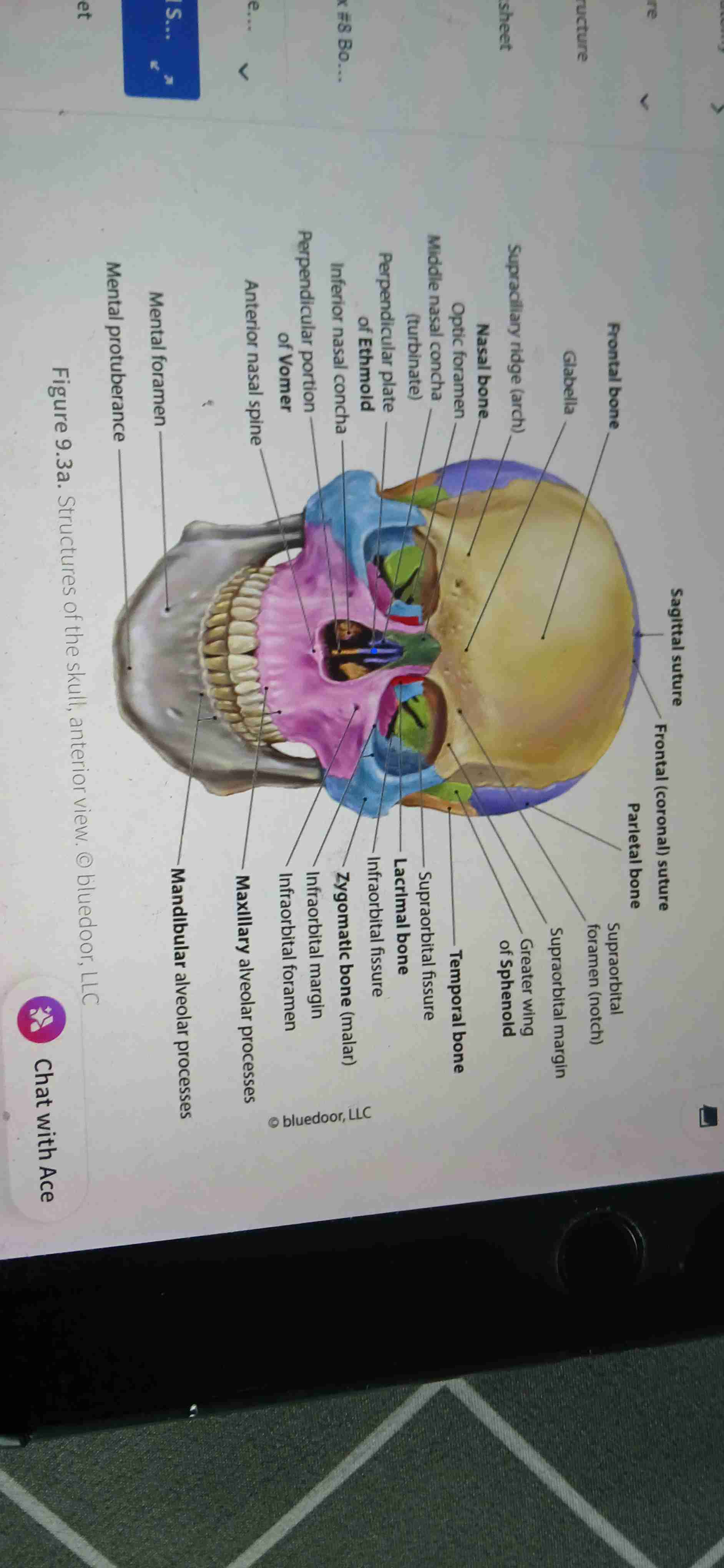 knowt flashcard image