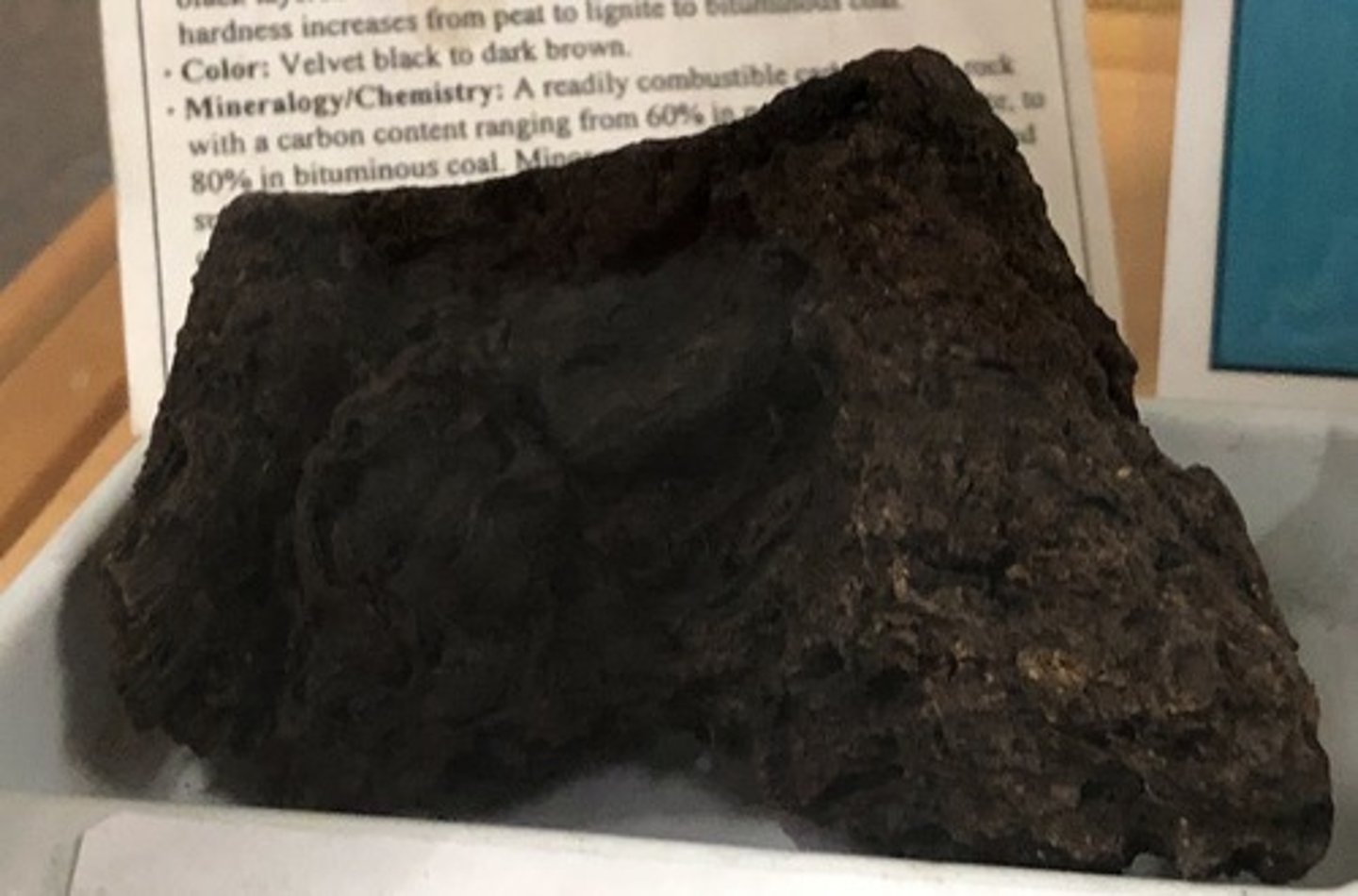 <p>Peat</p>