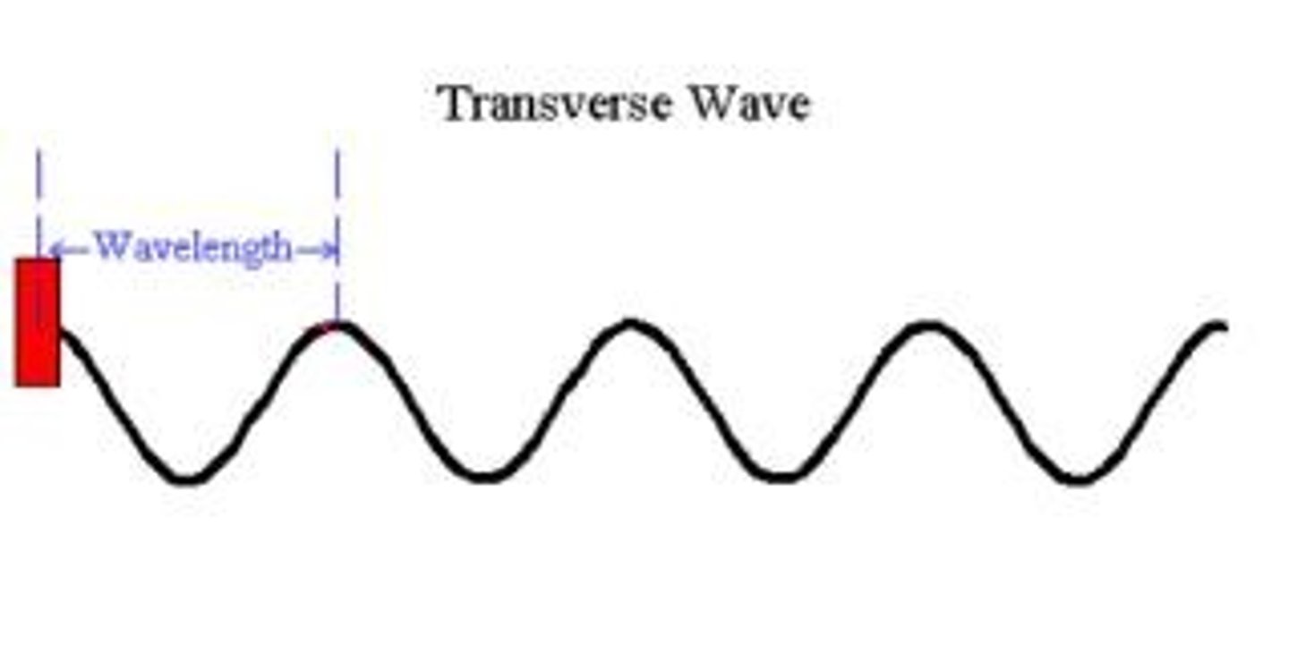 <p>Perpendicular to the direction the wave travels</p>