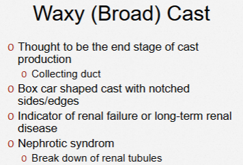 <p>Waxy Cast — ‘Skyrim whips wrappings’</p><p>Abnormal, <span style="color: rgb(255, 10, 168);">renal failure</span></p>