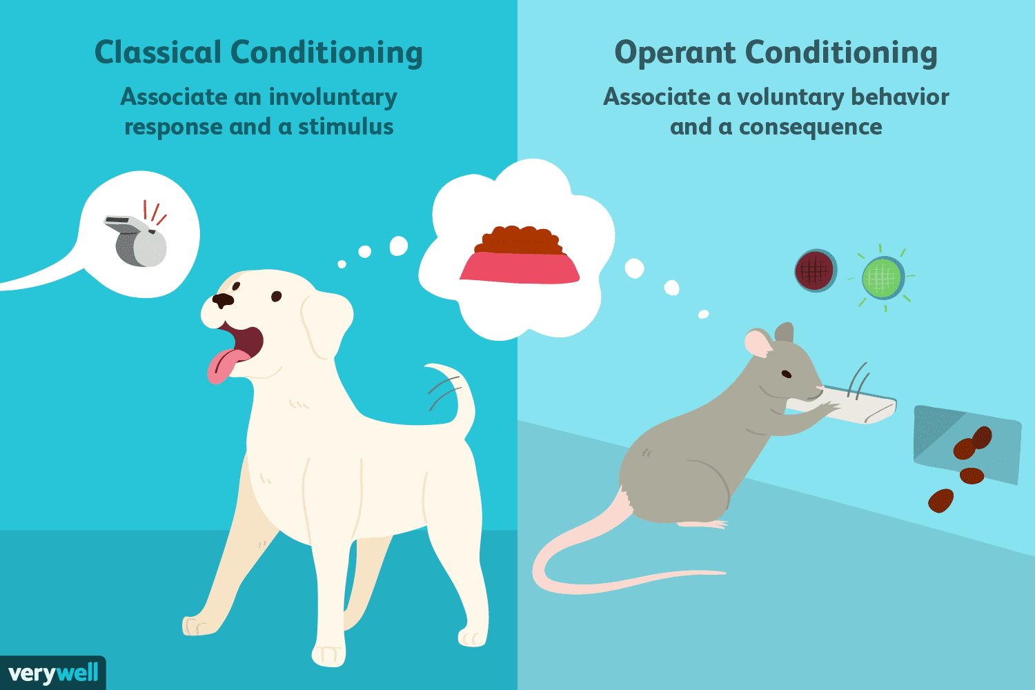 <p><span>The theory that human and animal behavior can be explained in terms of conditioning, without appeal to thoughts or feelings, and that some mental conditions are best treated by <u>altering</u> behavior patterns.</span></p><p>• Ivan Pavlov (1849-1936) studied conditioned</p><p>reflexes via saliva in dogs – classical conditioning (encourage a behavior)</p><p>• John Watson (1878-1958) shifted focus from</p><p>internal to external explanations for behaviour -</p><p>behaviorism</p><p>• B. F. Skinner (1904-1990) consequence (+/-) is the</p><p>driving force of behaviour – instrumental</p><p>(Thorndike’s term) or operant conditioning (punishment to change behavior)</p>