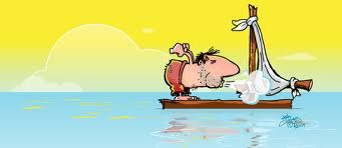 <p>An area around the equator where the trade winds from each hemisphere meet; the warm rising air causes an area of low pressure, so there is very little wind.</p>