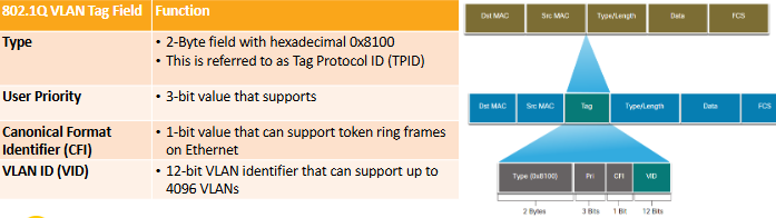 <p>Een <strong>VLAN ID</strong> wordt meegestuurd als een <strong>tag</strong> in de <strong>header</strong> van een frame en die tag is <strong>4 Byte</strong> groot. Zodra verkeer <strong>tagged</strong> wordt doorgestuurd, verandert het frame en daarom vindt er een <strong>hercalculatie van de FCS-waarde</strong> plaats. Bij het <strong>verlaten</strong> van het <strong>broadcast domein</strong> via een <strong>accesspoort</strong> wordt de tag weer verwijderd (untagged) en wordt de <strong>FCS-waarde opnieuw berekend</strong> zodat het uitgaande frame weer klopt zonder VLAN-tag.</p>