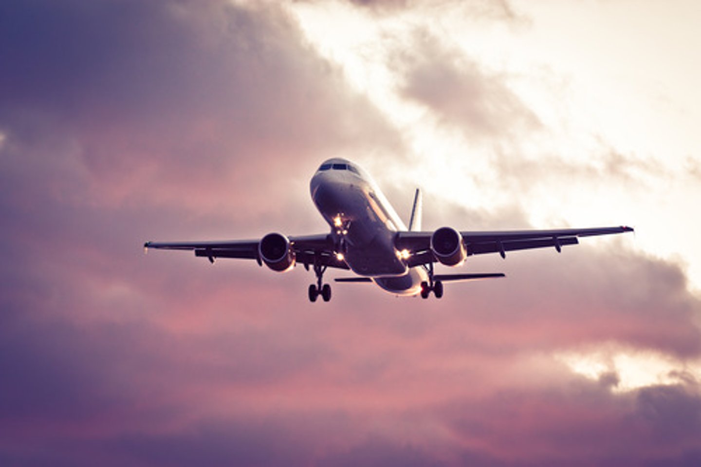 <p>an airplane</p>