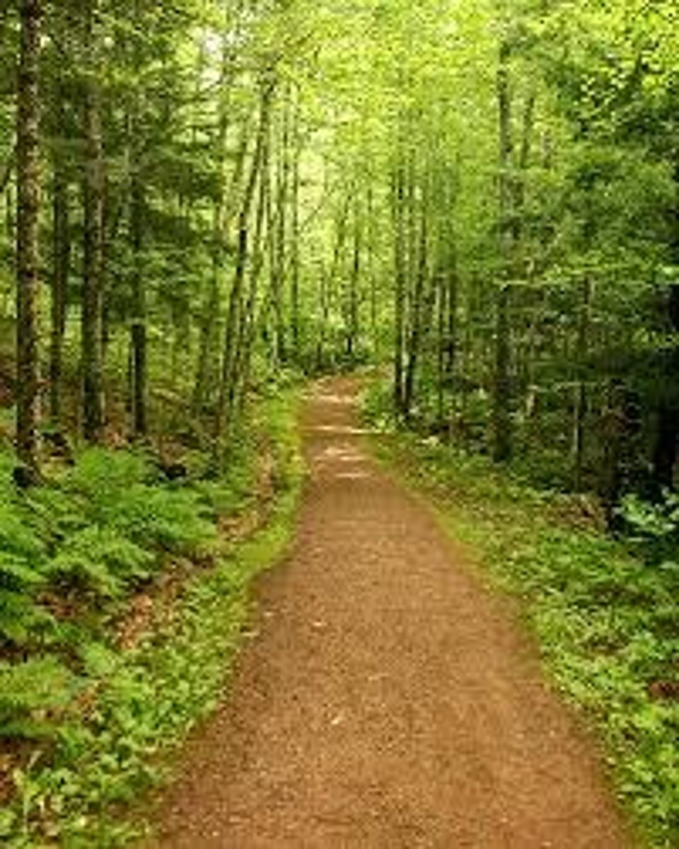 <p>path</p>
