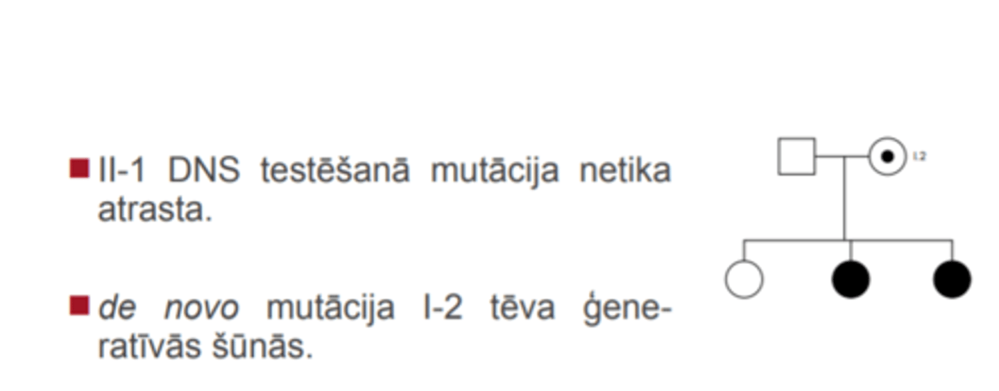 <p>Mātei, I-2, nebija Retta sindroma. Viņa pabeidza mācības 21 gadu vecumā un strādāja par skolotāju. Viņas DNS, kas tika izdalīta no periferālo asiņu leikocītiem, noteica R133Cmutāciju. Praktiski visos leikocītos X inaktivācijai bija pakļauta mutāciju saturošā hromosoma.</p>