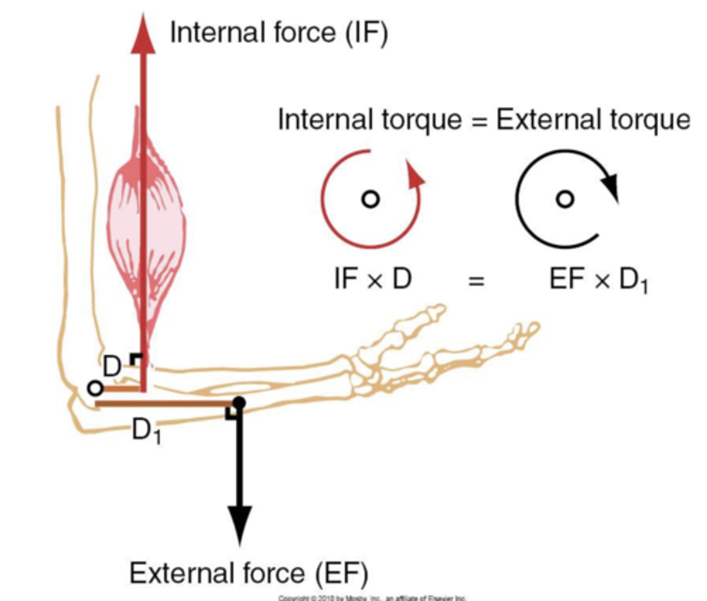 <p>Torque = magnitude of the resultant force x perpendicular moment arm</p>