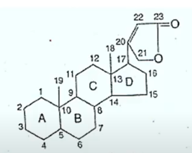 <p>Cardiac structure</p>
