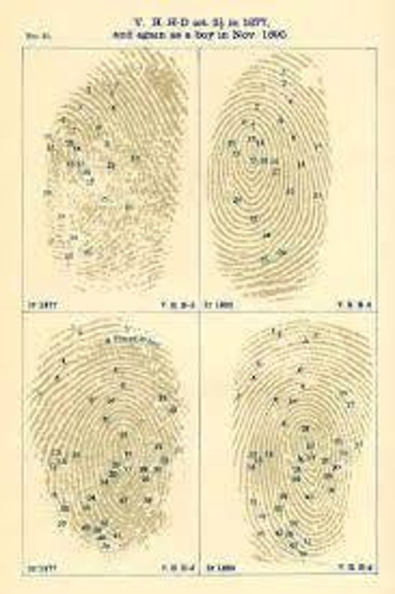 <p>Francis Galton, 1880s</p>