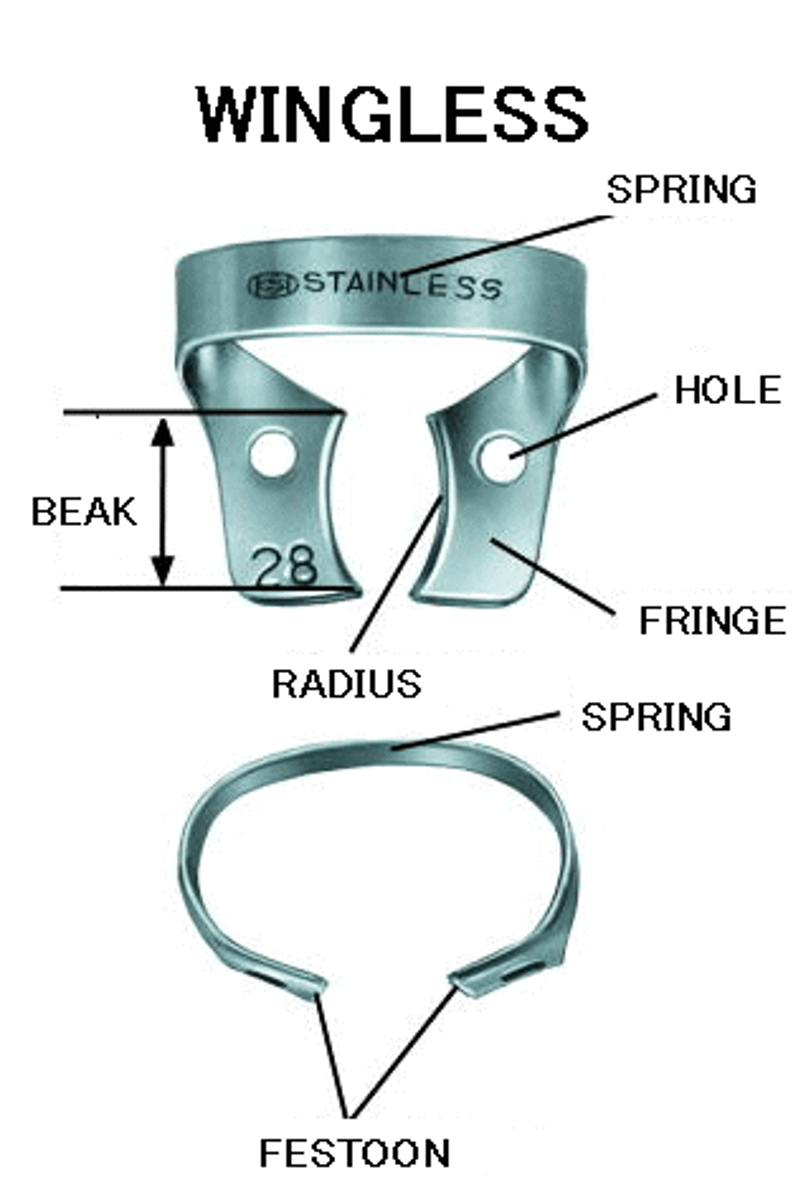 <p>No projection.</p>