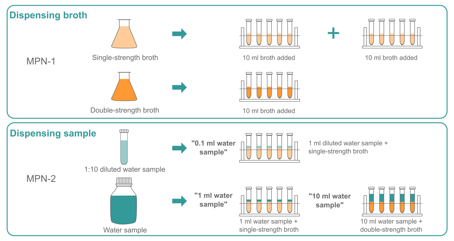 <p>processing water samples for bacteria</p><p>serial dilution at different aliquot levels </p>